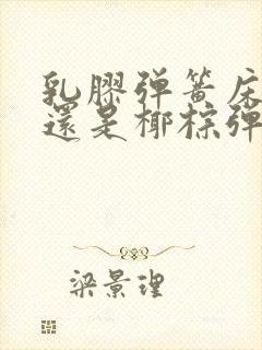 乳胶弹簧床垫好还是椰棕弹簧床垫好