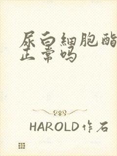 尿白细胞酯酶±正常吗