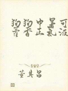 狗狗中暑可以吃藿香正气液吗