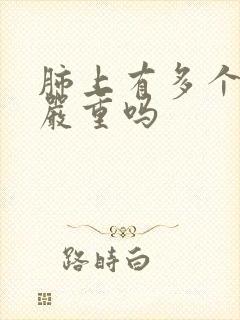 肺上有多个结节严重吗