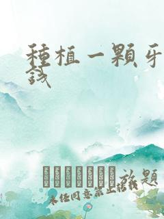 种植一颗牙要多钱