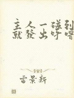 主人一碰到猫咪就发出呼噜声