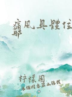 痛风具体位置在哪