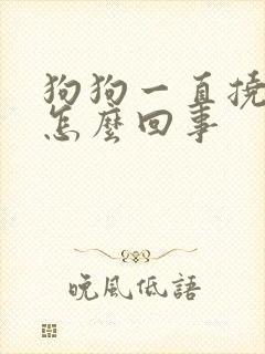 狗狗一直挠肚子怎么回事