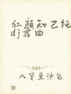 红颜知己纯音乐dj舞曲