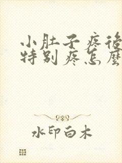 小肚子疼后腰也特别疼怎么回事