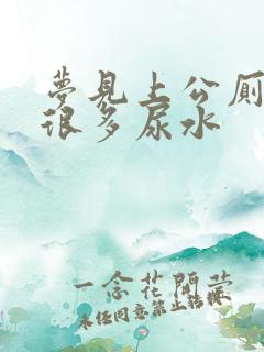 梦见上公厕很脏很多尿水