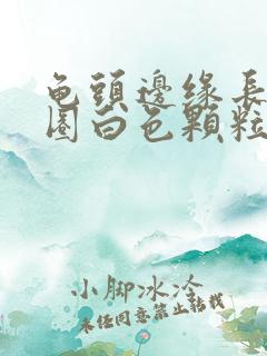 龟头边缘长了一圈白色颗粒有点痒