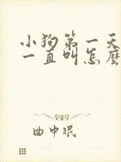 小狗第一天到家一直叫怎么办