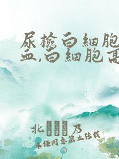 尿检白细胞,潜血,白细胞高是怎么回事