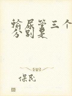 输尿管三个狭窄分别是