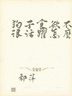 狗子食欲不振却很活跃怎么回事