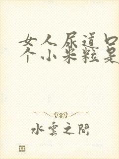 女人尿道口起了个小米粒是怎么回事