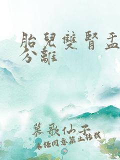 胎儿双肾盂未见分离