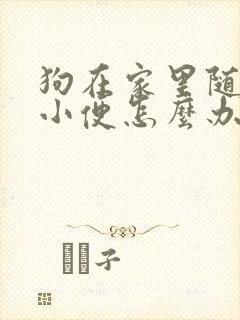 狗在家里随地大小便怎么办