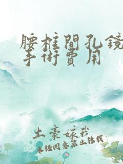 腰椎间孔镜微创手术费用