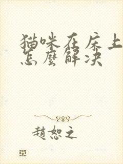 猫咪在床上拉尿怎么解决