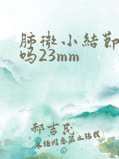 肺微小结节严重吗23mm