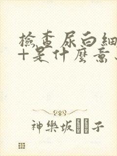 检查尿白细胞3+是什么意思呢?