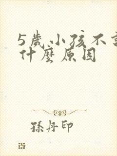 5岁小孩不说话什么原因