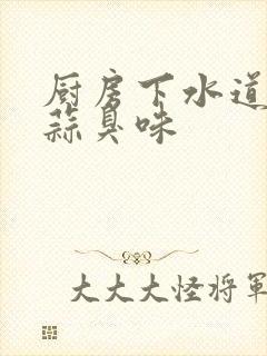 厨房下水道一股蒜臭味