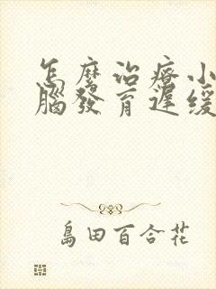 怎么治疗小孩大脑发育迟缓