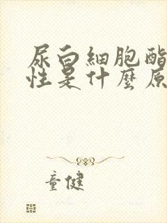 尿白细胞酯酶阳性是什么原因