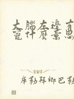 大脑左边有缺血灶什么意思