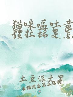 猫咪呕吐黄色液体拉稀是怎么回事