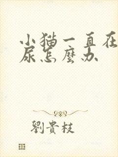 小猫一直在床上尿怎么办