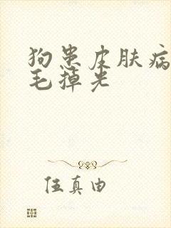 狗患皮肤病全身毛掉光