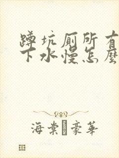 蹲坑厕所有点堵下水慢怎么办