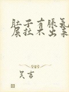 肚子有胀气想拉屎拉不出来怎么办