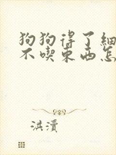 狗狗得了细小 不吃东西怎么办