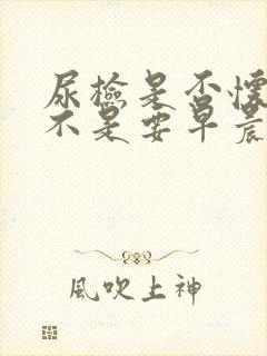 尿检是否怀孕是不是要早晨第一泡尿