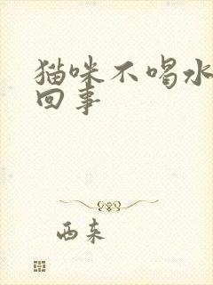 猫咪不喝水怎么回事