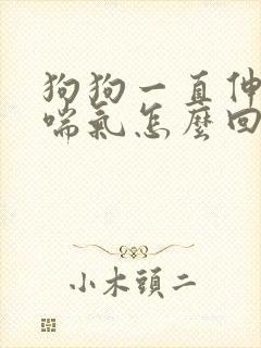 狗狗一直伸舌头喘气怎么回事