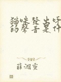 猫咪发出呼噜噜的声音是什么情况