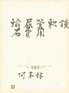 输尿管软镜碎结石费用