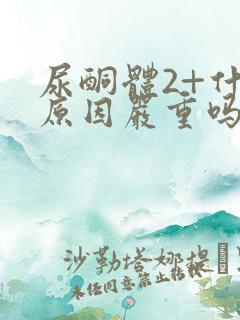 尿酮体2+什么原因严重吗