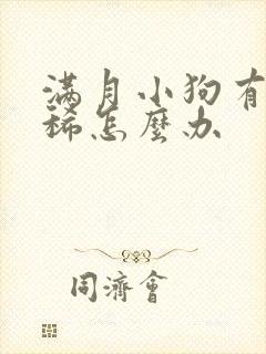 满月小狗有点拉稀怎么办