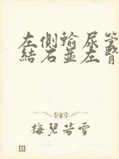 左侧输尿管下段结石并左肾积水怎么治疗