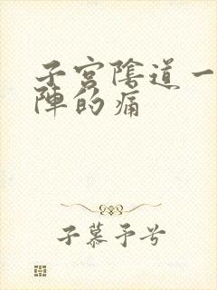 子宫阴道一阵一阵的痛