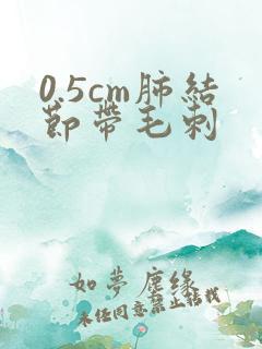 0.5cm肺结节带毛刺