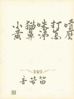 小猫咪打喷嚏流黄鼻涕怎么办