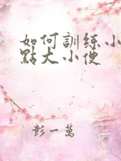 如何训练小狗定点大小便