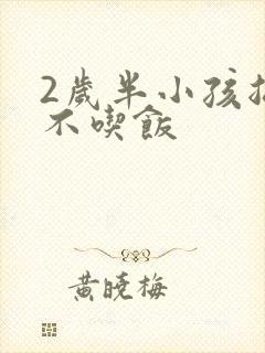 2岁半小孩总是不吃饭