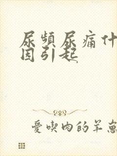 尿频尿痛什么原因引起