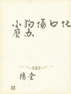 小狗伤口化脓怎么办