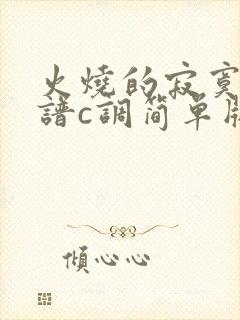 火烧的寂寞吉他谱c调简单版